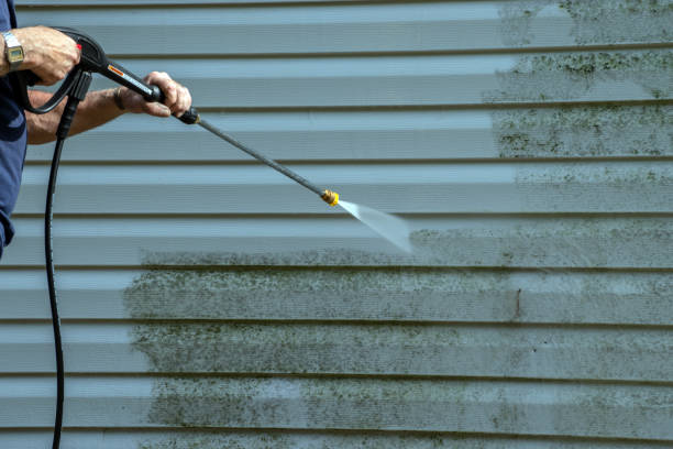 Best Pressure Washing Driveway  in Leonardtown, MD