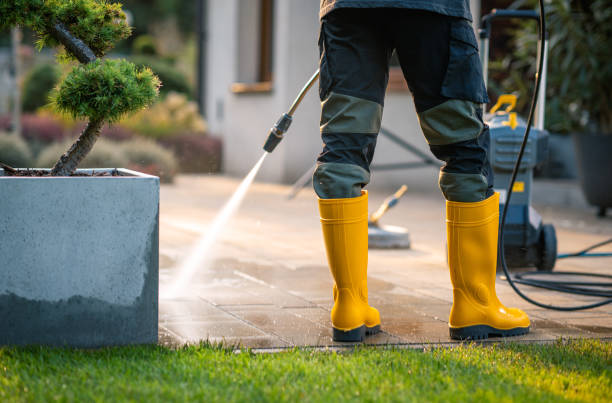 Best Exterior Home Cleaning  in Leonardtown, MD